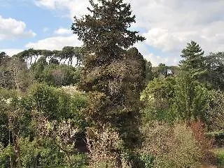 Villa Magnolia Relais Rom
